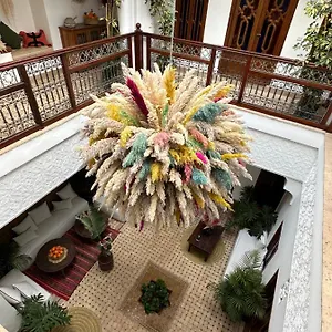 Darino Morocco